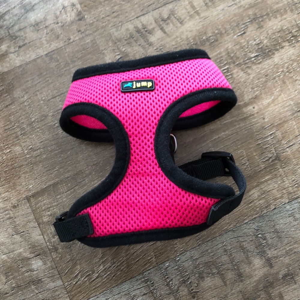 Dog harness